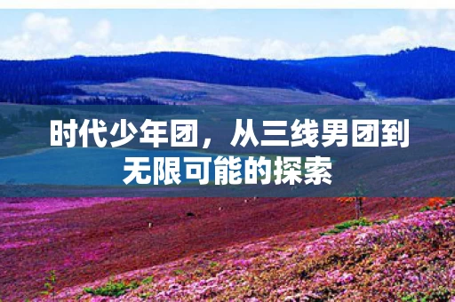 从三线男团到无限可能的探索图片