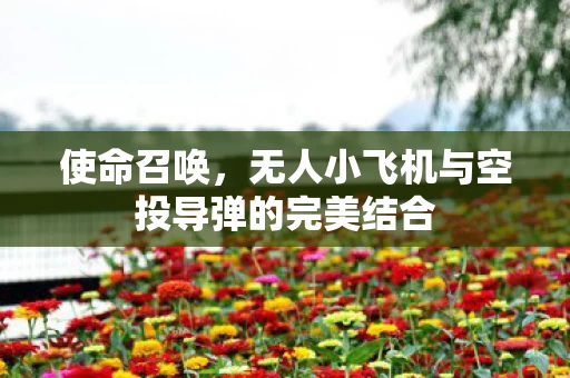 无人小飞机与空投导弹的完美结合图片