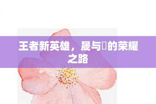 晟与暃的荣耀之路图片