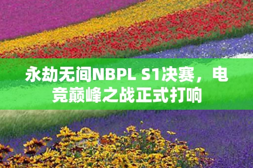 永劫无间NBPL S1决赛图片