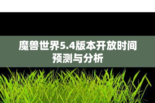 4版本开放时间预测与分析图片
