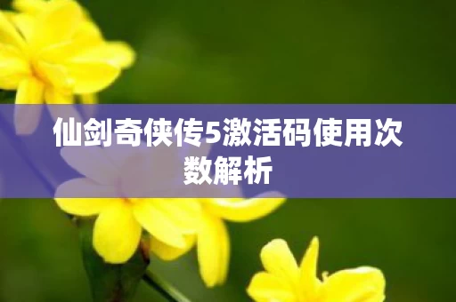 仙剑奇侠传5激活码使用次数解析图片
