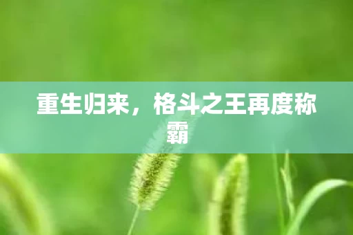 格斗之王再度称霸图片