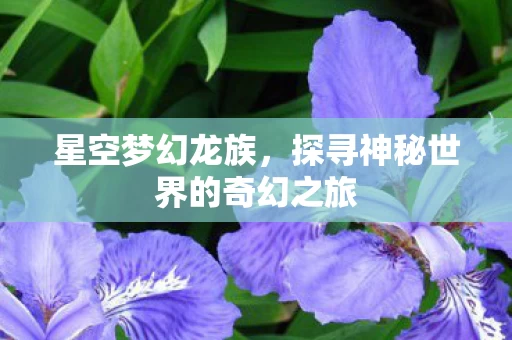 探寻神秘世界的奇幻之旅图片
