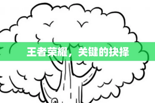 关键的抉择图片