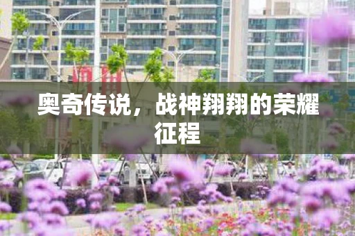 战神翔翔的荣耀征程图片