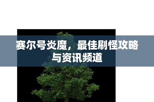 最佳刷怪攻略与资讯频道图片