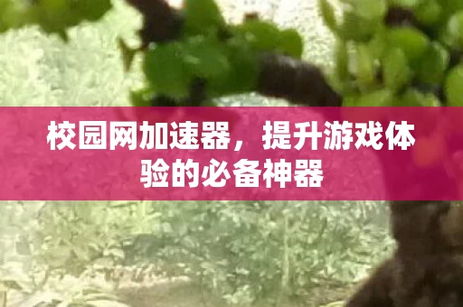 提升游戏体验的必备神器图片