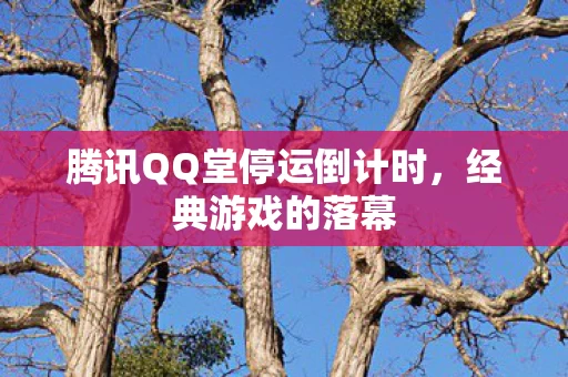 腾讯QQ堂停运倒计时图片