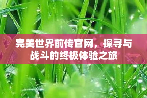 探寻与战斗的终极体验之旅图片