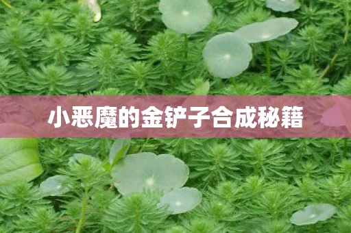 小恶魔的金铲子合成秘籍图片