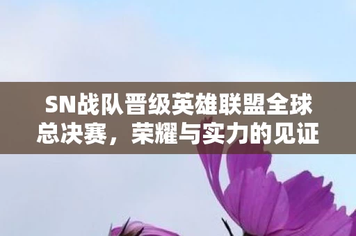 SN战队晋级英雄联盟全球总决赛图片