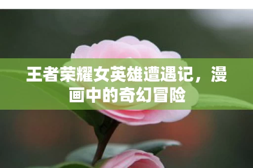 王者荣耀女英雄遭遇记图片