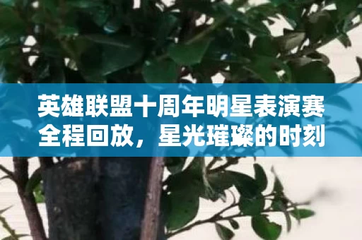 英雄联盟十周年明星表演赛全程回放图片