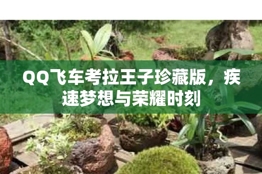 QQ飞车考拉王子珍藏版图片