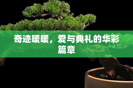 爱与典礼的华彩篇章图片