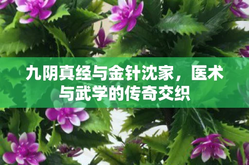 医术与武学的传奇交织图片