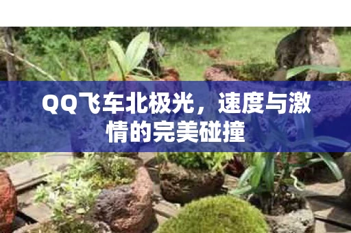 速度与激情的完美碰撞图片