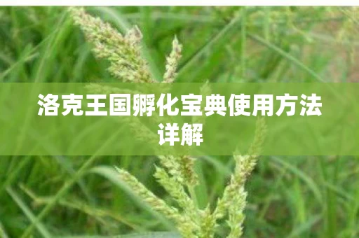 洛克王国孵化宝典使用方法详解图片