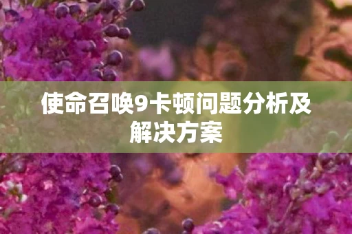 使命召唤9卡顿问题分析及解决方案图片