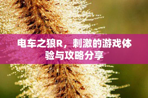 刺激的游戏体验与攻略分享图片