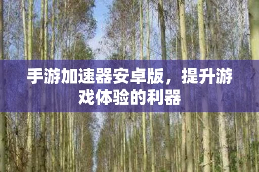 提升游戏体验的利器图片