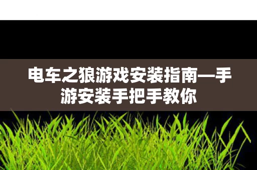 电车之狼游戏安装指南图片