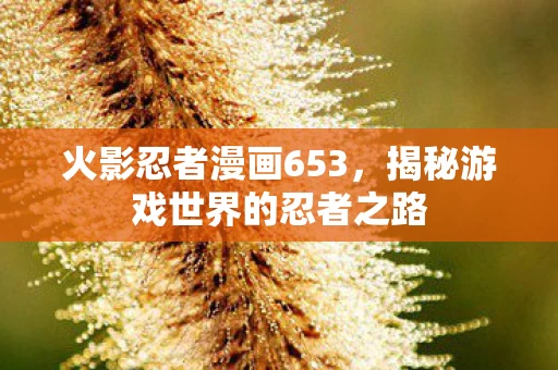 揭秘游戏世界的忍者之路图片