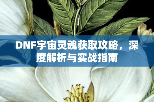 DNF宇宙灵魂获取攻略图片