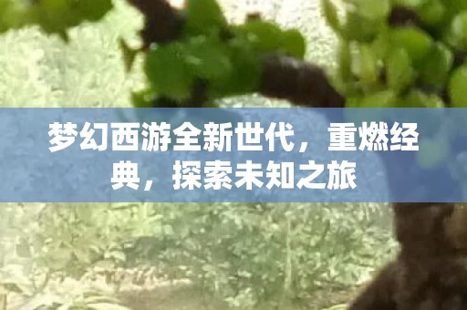 梦幻西游全新世代图片