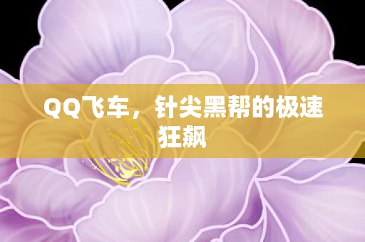 针尖黑帮的极速狂飙图片