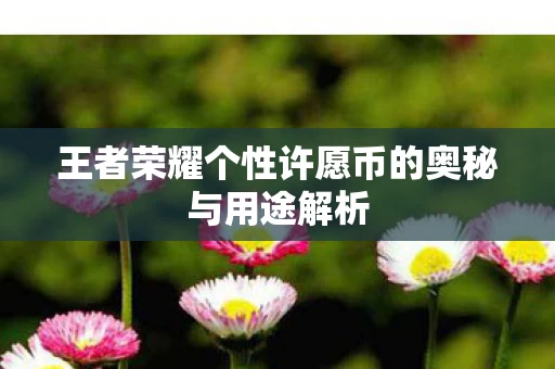 王者荣耀个性许愿币的奥秘与用途解析图片