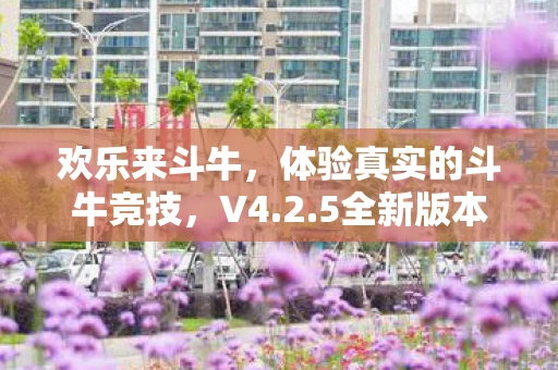 5全新版本等你来挑战图片