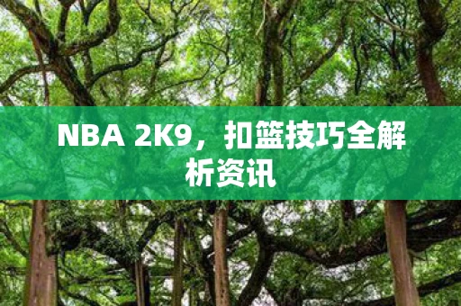 扣篮技巧全解析资讯图片