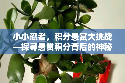 探寻悬赏积分背后的神秘世界图片