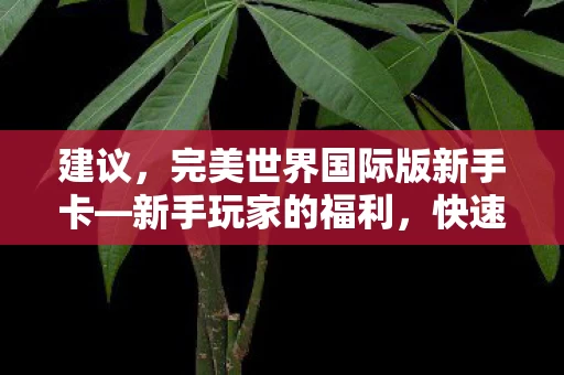 完美世界国际版新手卡图片