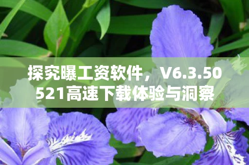 50521高速下载体验与洞察图片