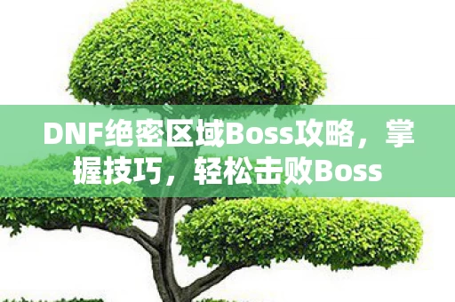 DNF绝密区域Boss攻略图片