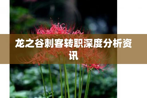 龙之谷刺客转职深度分析资讯图片