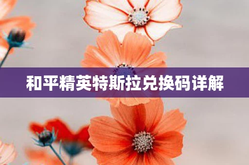 和平精英特斯拉兑换码详解图片