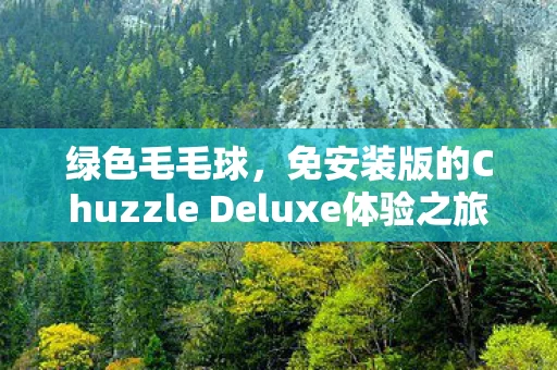 免安装版的Chuzzle Deluxe体验之旅图片