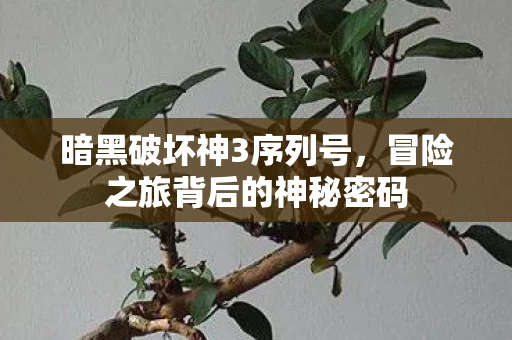 冒险之旅背后的神秘密码图片