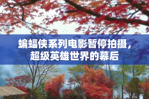 蝙蝠侠系列电影暂停拍摄图片