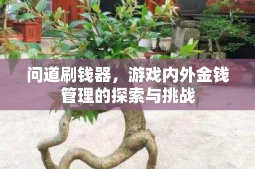 游戏内外金钱管理的探索与挑战图片