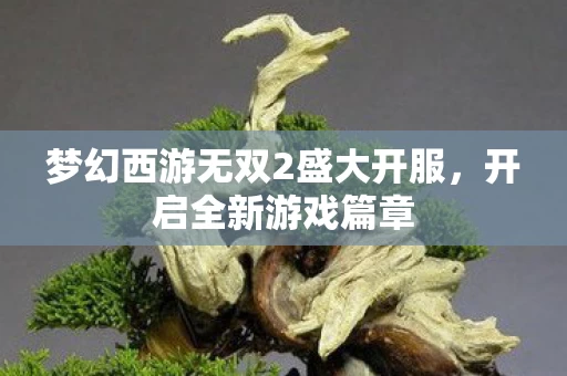 梦幻西游无双2盛大开服图片