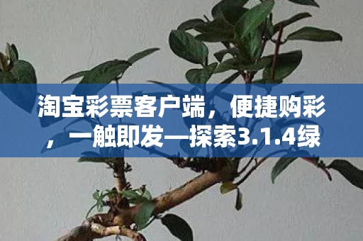 4绿色下载新版特性图片