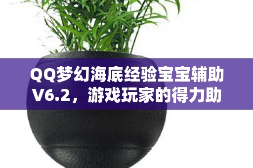 QQ梦幻海底经验宝宝辅助V6图片