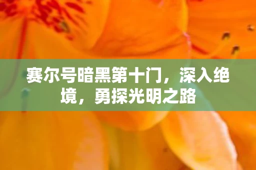 赛尔号暗黑第十门图片