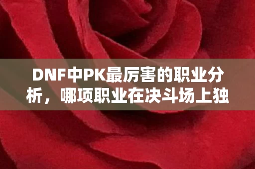 DNF中PK最厉害的职业分析图片