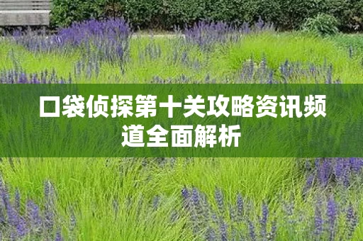 口袋侦探第十关攻略资讯频道全面解析图片